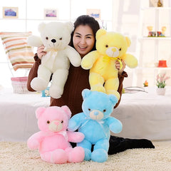 Lovable LED Teddy Bear